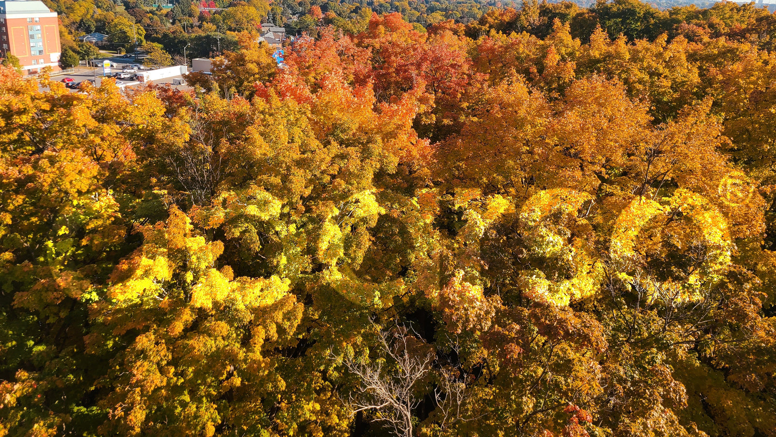 The Aparso Journey: Where Nature Meets Innovation